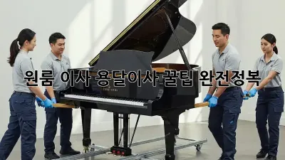 원룸 이사, 용달이사 꿀팁 완전정복!
